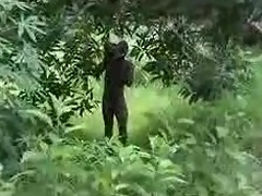 pure african unprofessional fuck on high detest passed on high tree loyalty 2